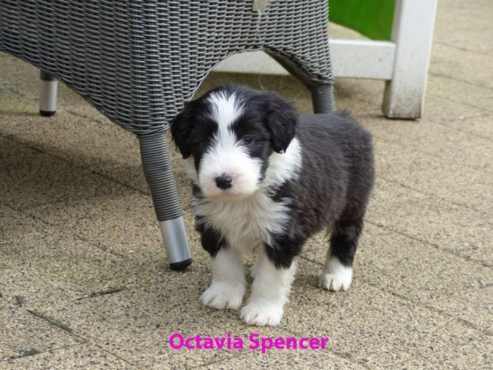 5,5 weeks Octavia Spencer outside 1
