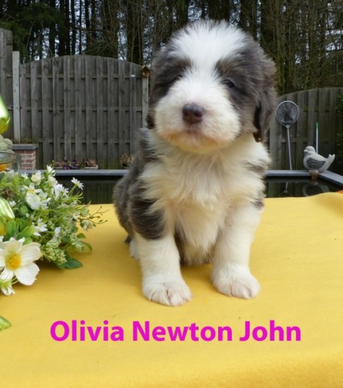 5,5 weeks Olivia Newton John sit 1