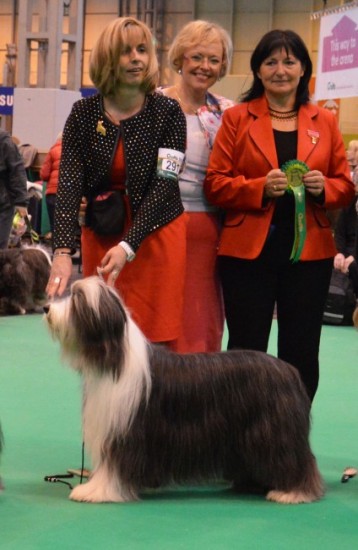 Cony-Island-Res--cc-Crufts
