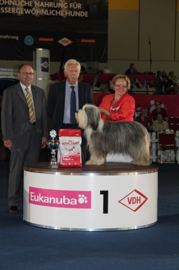 Lilli at the top in Dortmund at the FCI Jubileeshow, Groupwinner