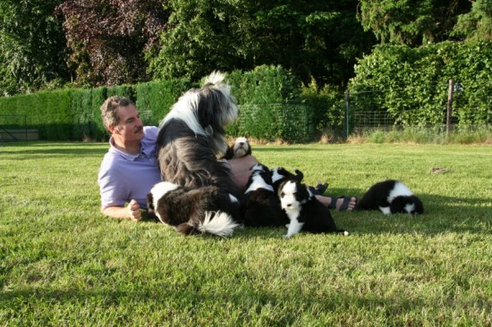 Harry-and-puppies-and-Lasse