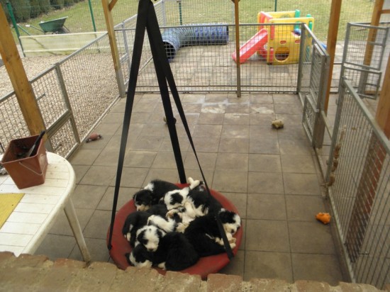 sleeping-at-the-swing-group-1