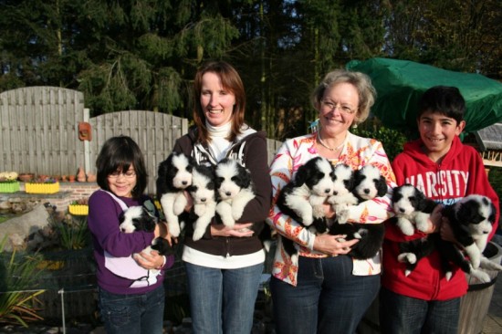 the-final-photo-3x-schmidt-and-the-puppies-and-happy-breeder