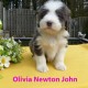 5,5 weeks Olivia Newton John sit 1