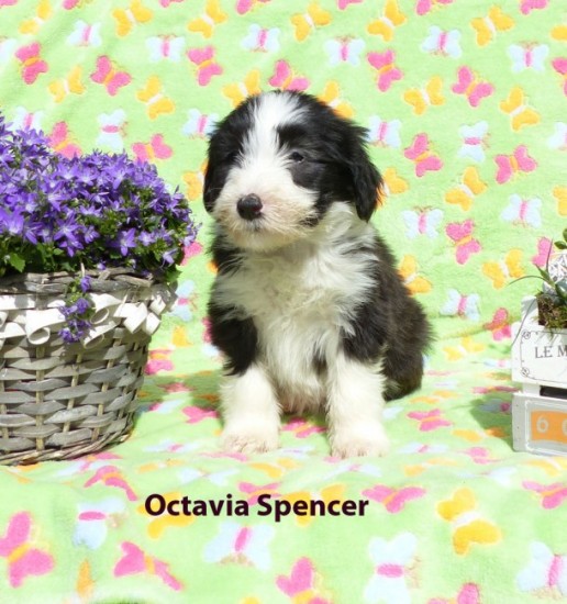 7 weeks june Octavia Spencer