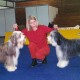 Firstprizebears Very Brown as a youngster with Lenka in CZ